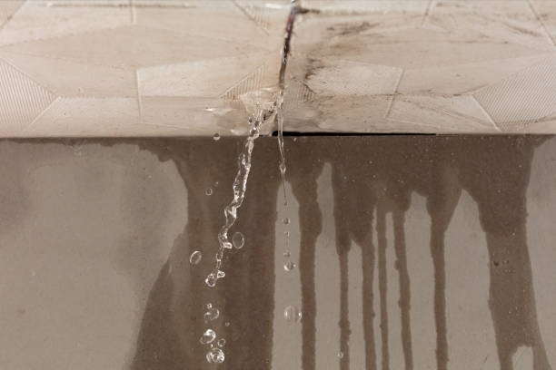 Professional Structural Drying technician working in Gypsum, CO